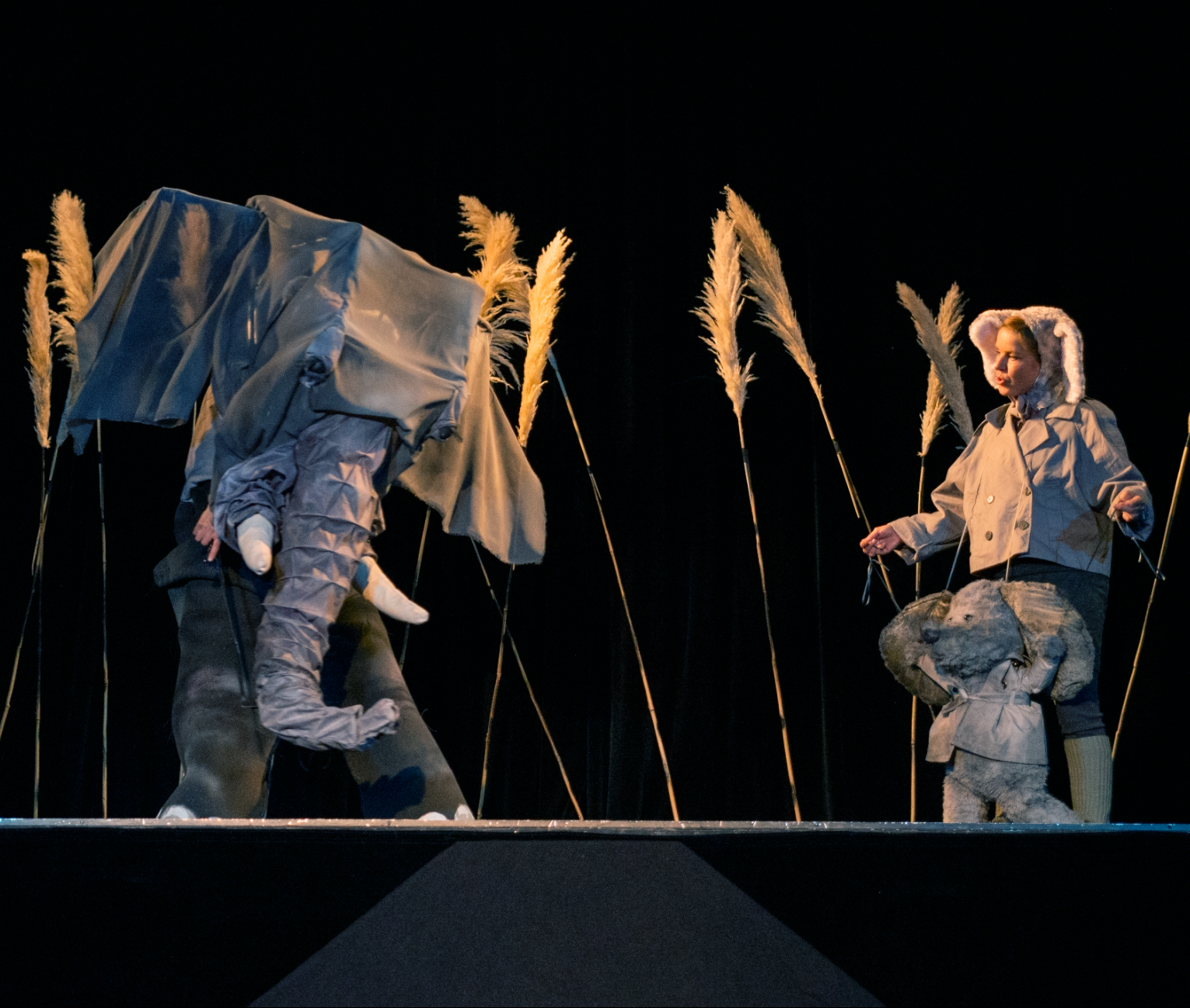 Judith Seiberts Bobo und Susu